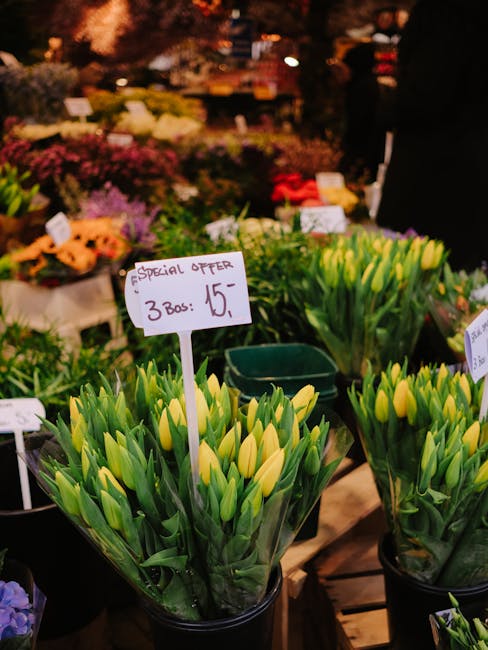 A display of fresh yellow tulips arranged in transparent plastic sleeves, positioned upright in black pots at a flower market. The tulips have unopened buds with smooth green stems and elongated leave